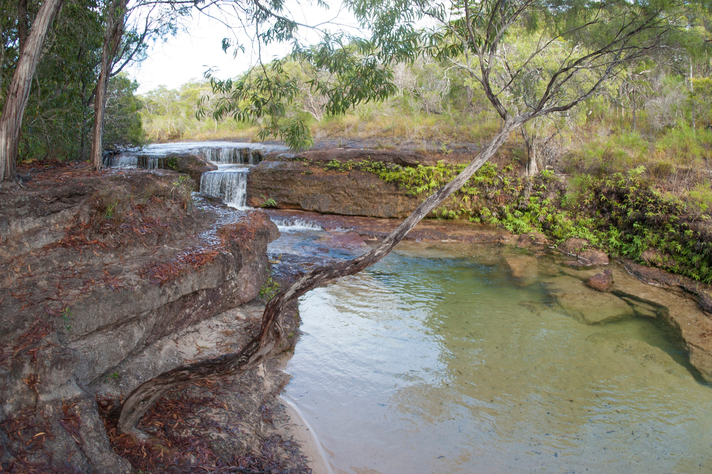 27 cape york.webp